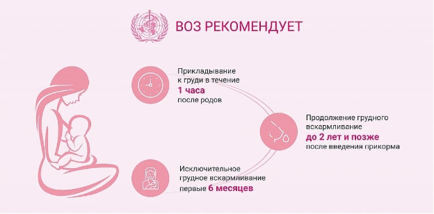 Грудное вскармливание: нужна ли диета кормящей маме?